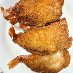 Best Fantail Shrimp (5) in Ipswich, MA